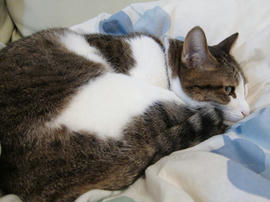 IMG03422.jpg
