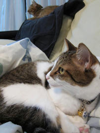 IMG03428.jpg