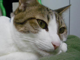 IMGP12177.jpg