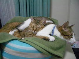 IMGP12191.jpg