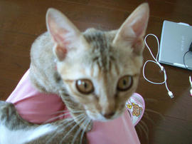 IMGP6966.jpg