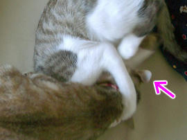 IMGP6995.jpg