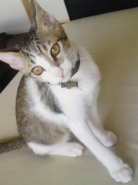 PAP_0098.jpg