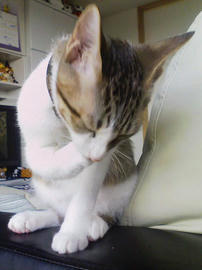 PAP_0095.jpg