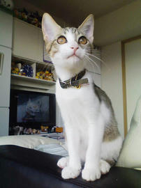 PAP_0094.jpg