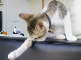 PAP_0092.jpg