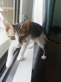 PAP_0091.jpg