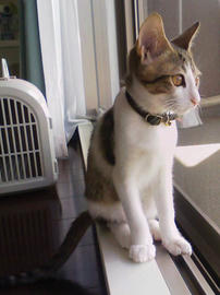 PAP_0090.jpg