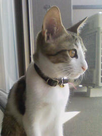 PAP_0087.jpg
