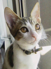 PAP_0088.jpg