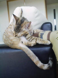 PAP_0082.jpg