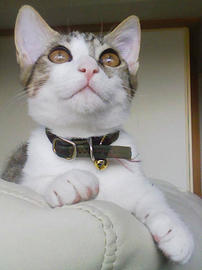 PAP_0081.jpg