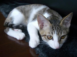 IMGP7008.jpg