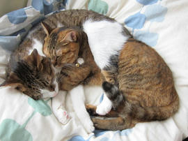 IMG03434.jpg