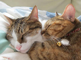 IMG03435.jpg