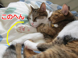 IMG03439.jpg