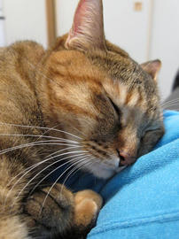 IMG03440.jpg