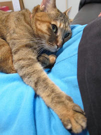 IMG03441.jpg