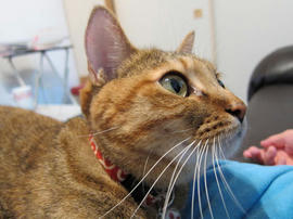 IMG03442.jpg