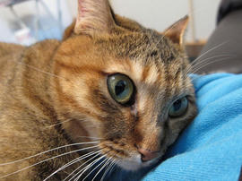 IMG03443.jpg