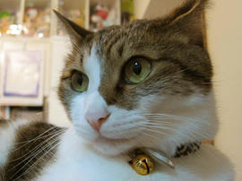 IMG03445.jpg