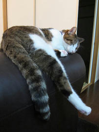 IMG03447.jpg