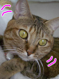 IMGP14779.jpg