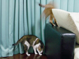 IMGP12213.jpg