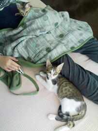PAP_0137.jpg