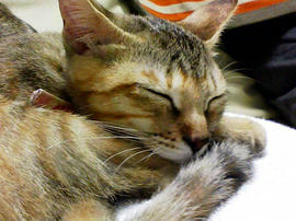 PAP_0048.jpg