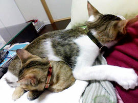 PAP_0054.jpg