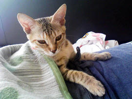 PAP_0055.jpg