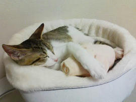 PA0_0130.jpg