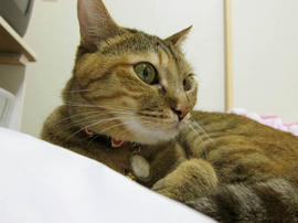 IMG03450.jpg