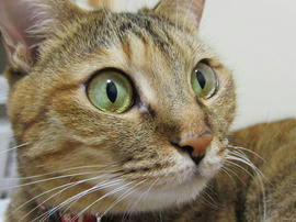 IMG03455.jpg