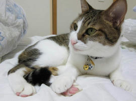IMG03460.jpg