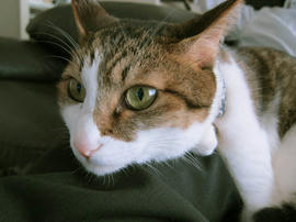 IMG03465.jpg