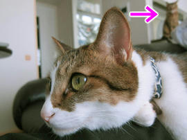 IMG03466.jpg