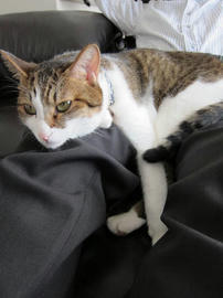 IMG03468.jpg