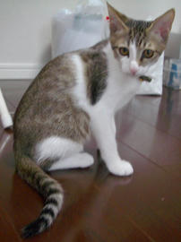 IMGP7018.jpg