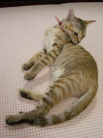 IMGP7016.jpg