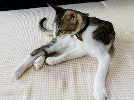 PAP_0042.jpg