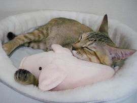 IMGP7033.jpg
