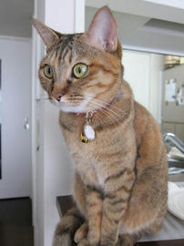 IMG03469.jpg