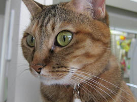 IMG03471.jpg