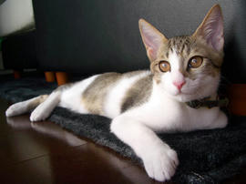 IMGP7040.jpg