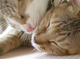 IMGP7045.jpg