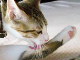 IMGP7053.jpg
