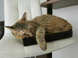 IMG03472.jpg