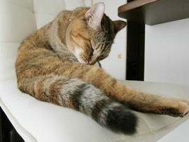 IMG03475.jpg